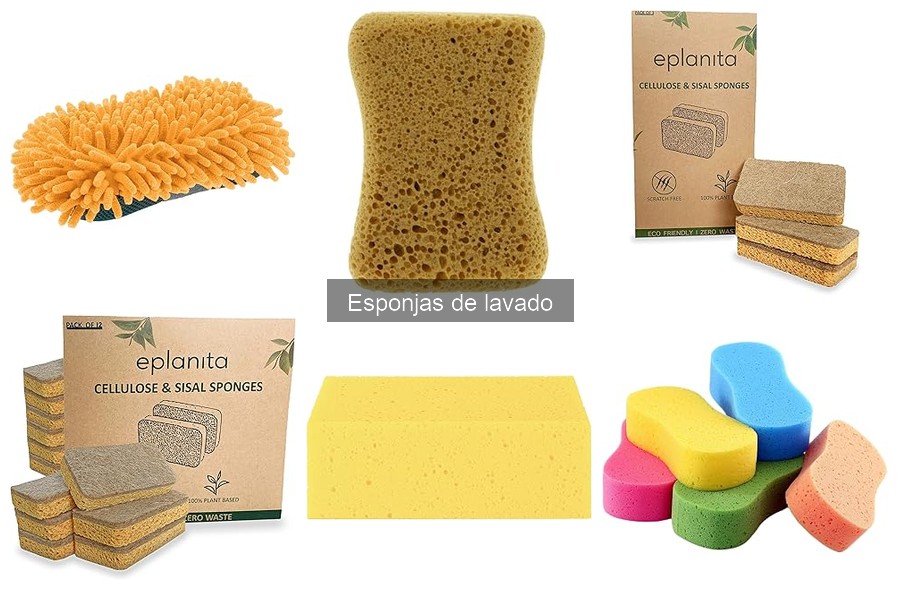 ** Alternativas Innovadoras a Esponjas de Lavado para Coches