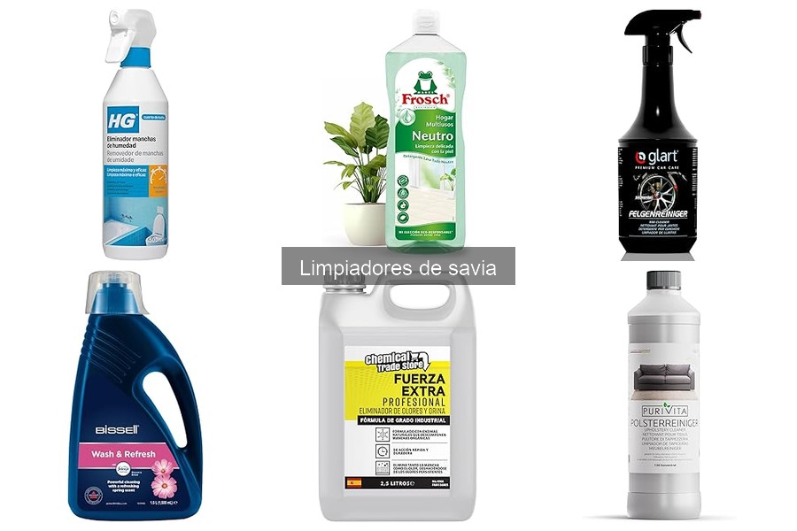 Alternativas naturales a limpiadores de savia para tu coche