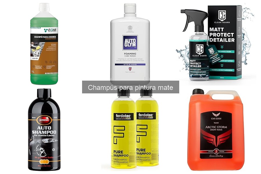 Cómo elegir el mejor champú para pintura mate en 2023