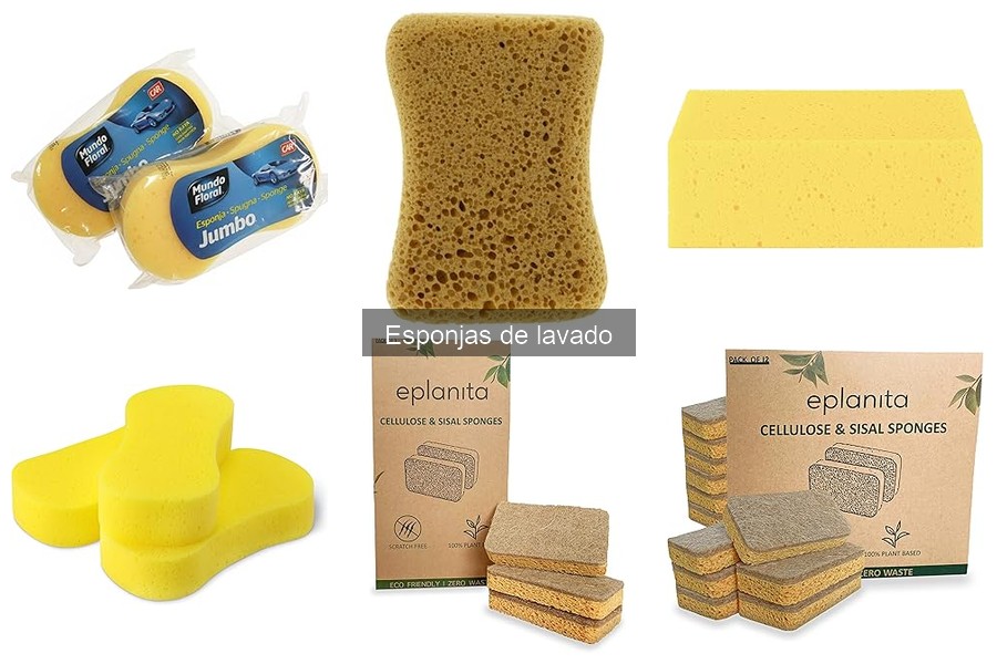 Consejos para el Mantenimiento de Esponjas de Lavado de Coche