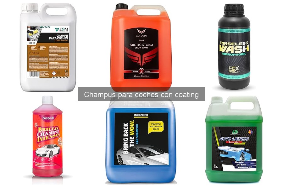 ¿Cuánto cuesta un champú para coches con coating?