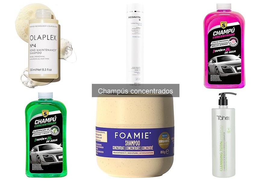 Dónde Comprar Champús Concentrados para Coches: Mejores Opciones