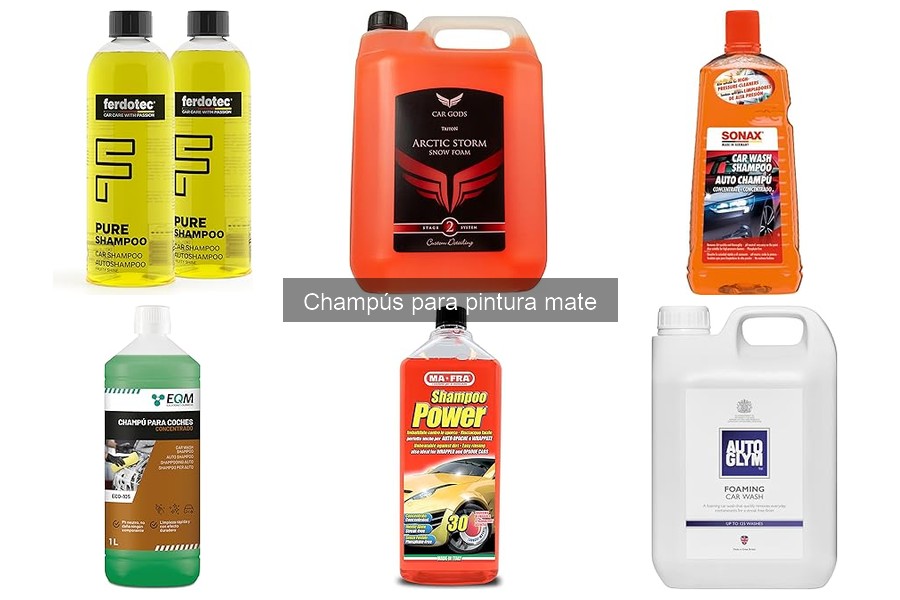 Dónde comprar champús para pintura mate: Guía completa