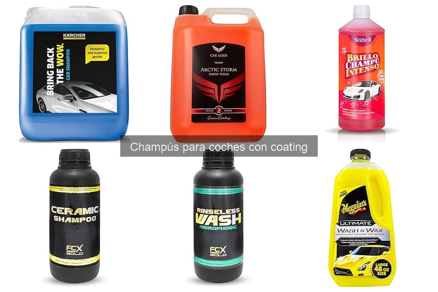 Ingredientes a Evitar en Champús para Coches con Coating