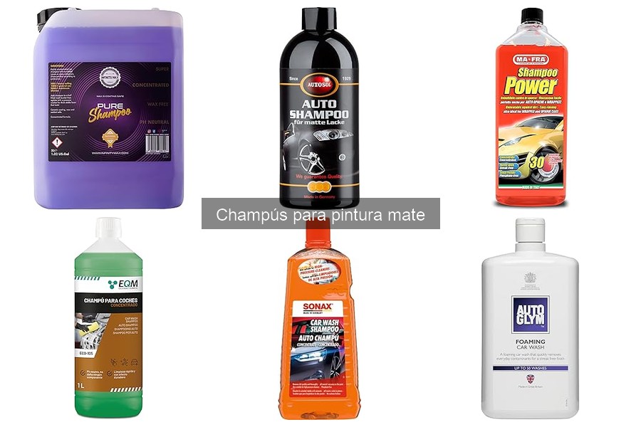 Ingredientes a evitar en champús para pintura mate