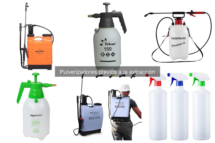 Mejores pulverizadores para un detallado efectivo del coche