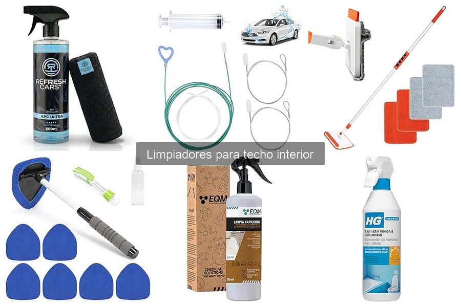 Opiniones sobre Limpiadores para Techo Interior de Coche