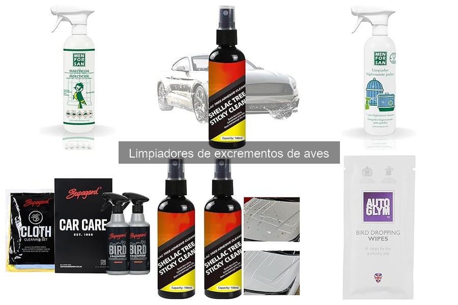 Prevención de excrementos de aves en tu coche: consejos prácticos