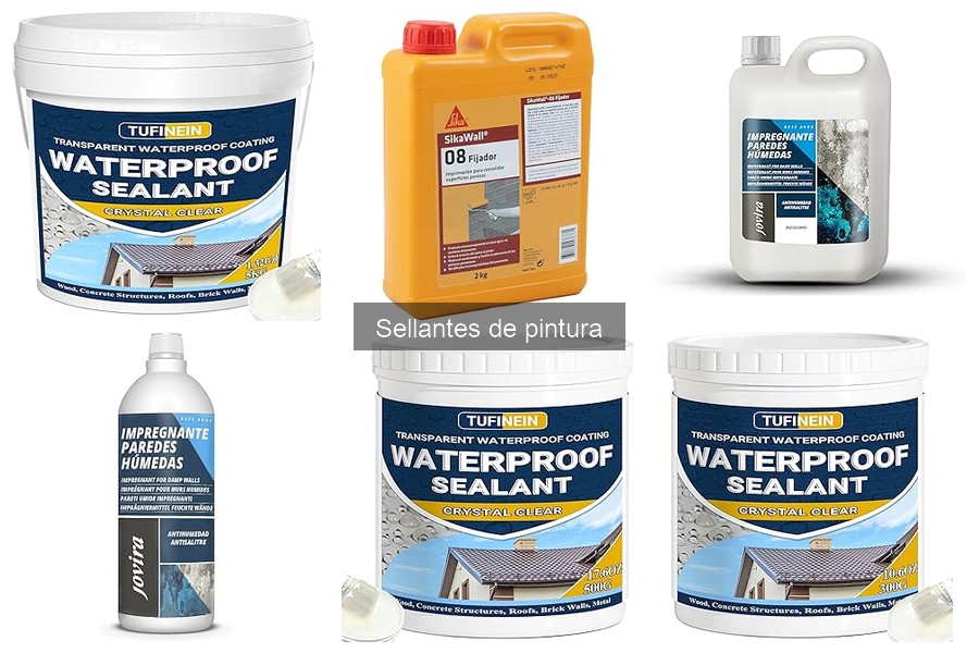 Sellantes de pintura más recomendados por expertos en detailing
