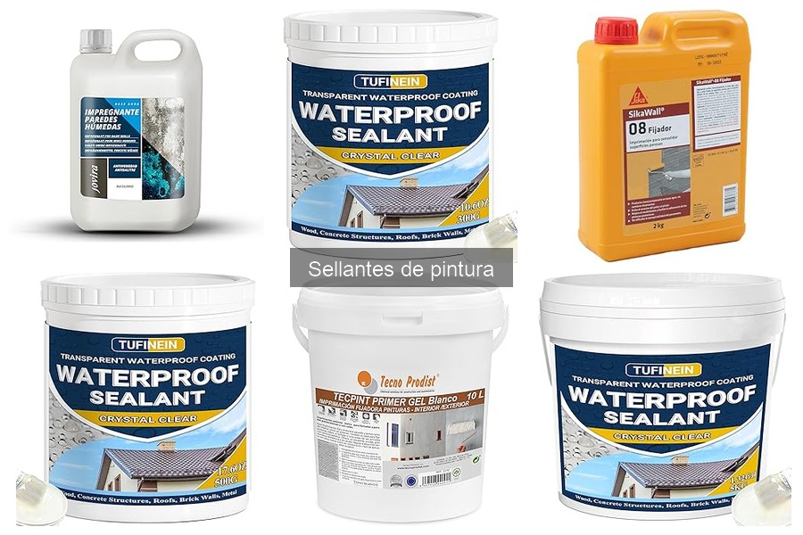 Sellantes de pintura: ¿Protegen realmente contra rayones?
