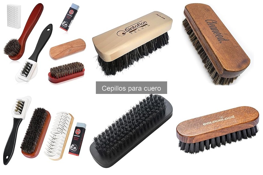 Tipos de cepillos para cuero y sus usos en el cuidado del coche
