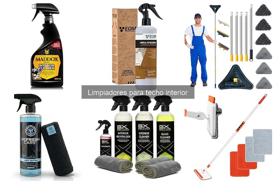 Tipos de limpiadores para techo interior de coche